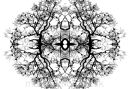 'Bird Ball'