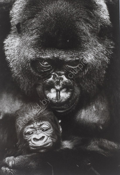 Mother and baby
