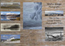 Tri brochure out cover
