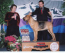 American Champion Marksbury Overjoyed