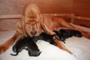 1 day old