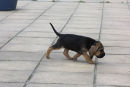 On a mission