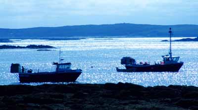  fishing boats at Leverburgh 