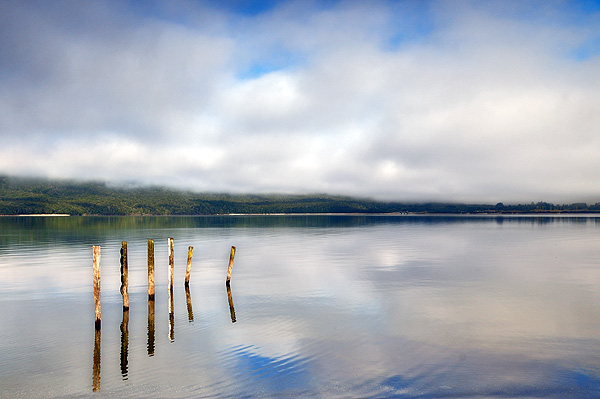 Misty Te Anau