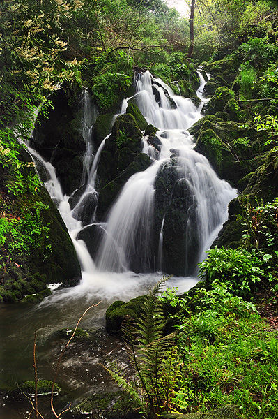 Crawfordsburn Waterfall