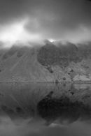 Screes refelctive patterns