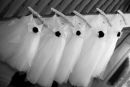 Bridesmaids Dresses