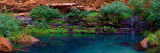 Circular Pool