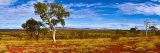 Red Earth