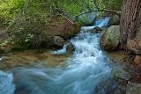 Mountain Stream