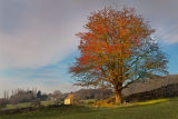 St Oswalds Chapel