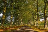 Chilterns Avenue