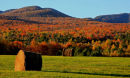 Balles de foin en automne
