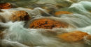 Rapides dans le Canyon Johnston