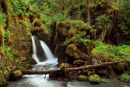 Virgin Creek Falls