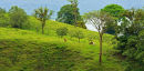 El campo