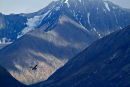Avion survolant le glacier Matanuska