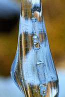 Glaçon tibia