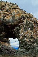 Rocher percé de Gull Island 