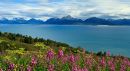 Baie de Kachemak