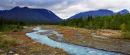 Quill Creek