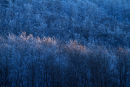 Lumière hivernale au couchant