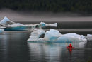 Icebergs du lac Mendenhall