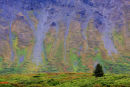 Couleurs automnales dans la prairie alpine