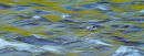 Reflets en eaux vives au printemps 3