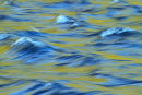 Reflets en eaux vives au printemps 1
