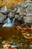 Ruisseau Des Chênes à l'automne