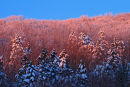 Montagne hivernale au couchant