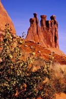 The Three Gossips (les trois commères) - Arches NP, Utah