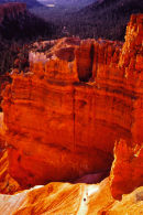 Sunset Point au lever du soleil 2 - Bryce Canyon NP, Utah