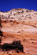 Montagne stratifiée - Zion NP, Utah