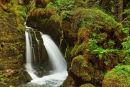 Virgin Creek Falls - gros-plan