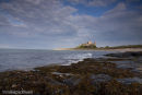 Bamburgh Castle in the evening light