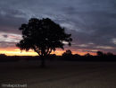 Sunrise at Barnoldby-le-Beck