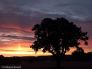 Sunrise at Barnoldby-le-Beck 2