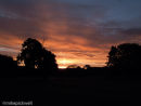 Sunrise at Barnoldby 3