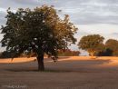 Early morning sun at Barnoldby 2