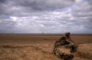 Looking towards Spurn.
