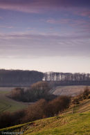 Irby Dale