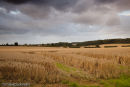 Late afternoon in the Limcolnshire Wolds
