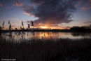 Winter Sunrise, Messingham