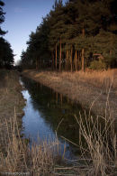 Winter reflection