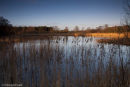 Winter light, Messingham