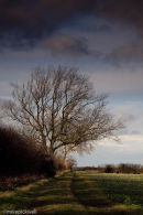 Winter light in the Wolds