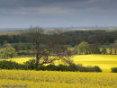 View from the edge of the Lincolnshire Wolds across to the coast