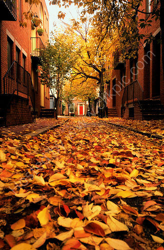 The Red Door